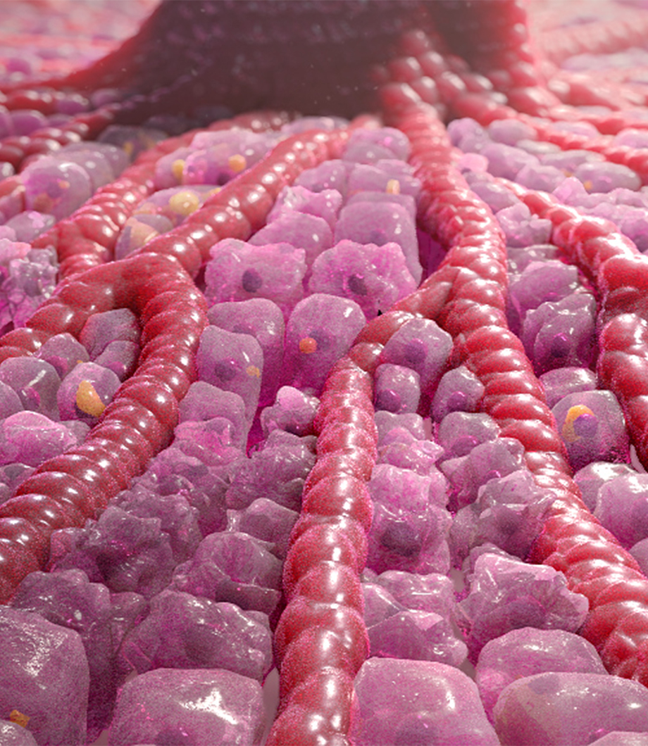 NASH scientific animation