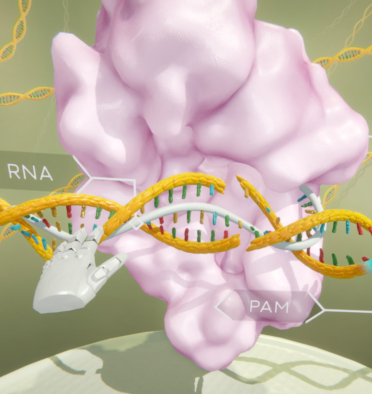 Gene Editing Virtual Reality