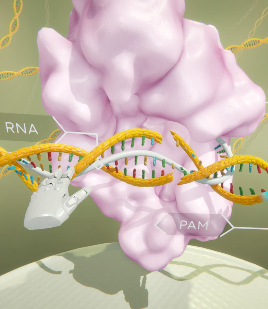 Gene Editing Virtual Reality