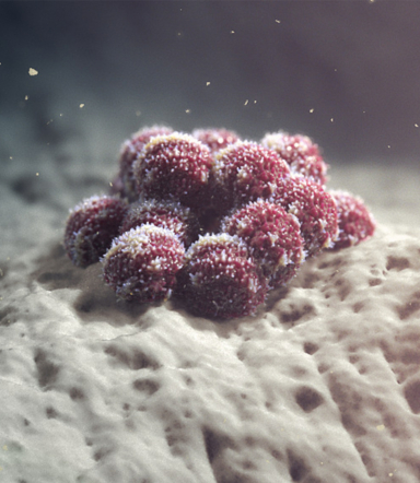 Cancer Cell Animation