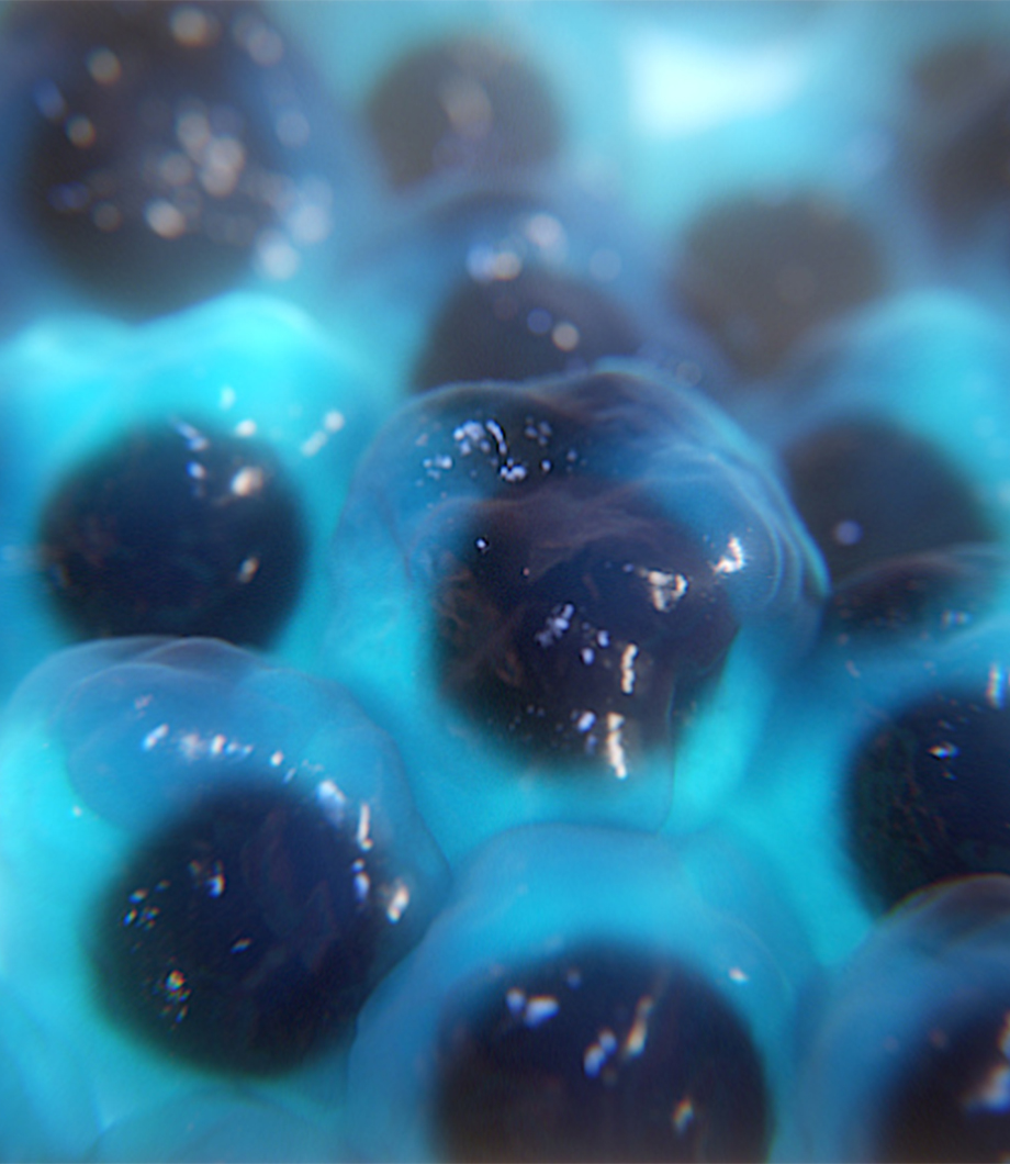 RNA interference animation