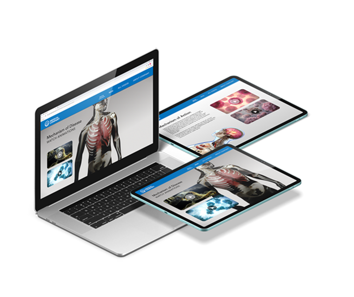 Animation Website Assets