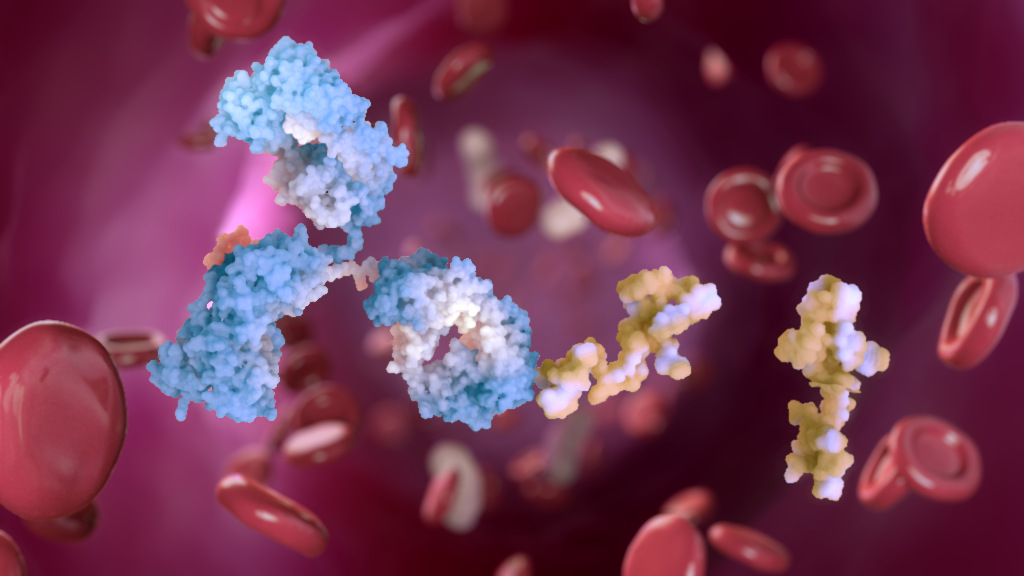 Animation at ASH 2023