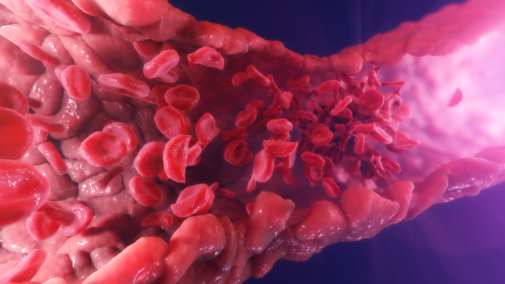 conference services at ash 2023