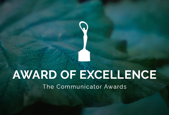 Communicator Awards 2023