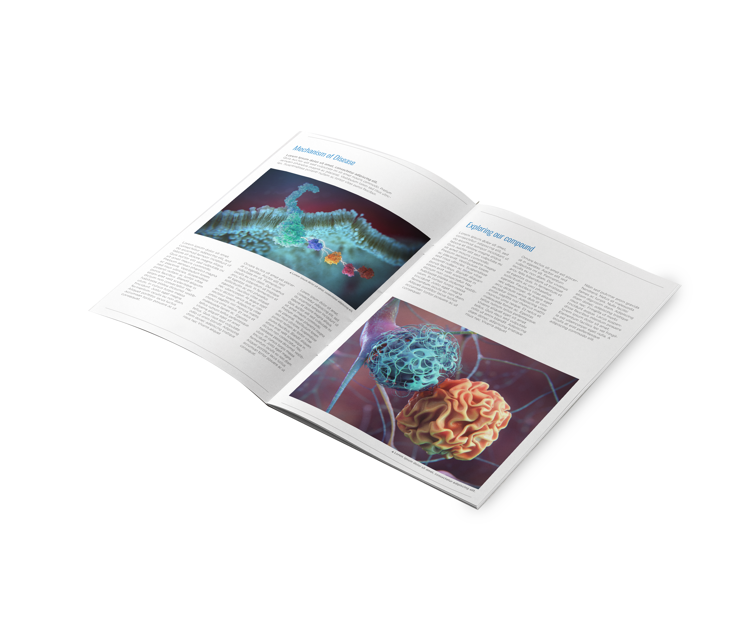 Corporate Communications Materials