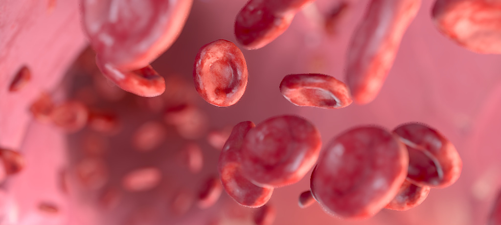 hematology medical animation