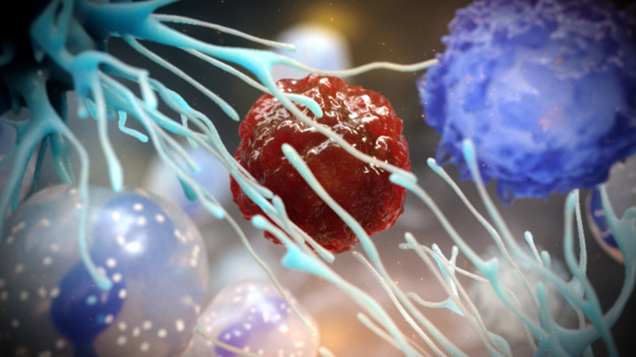 tumour immunology animation