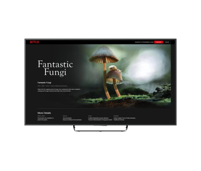 Random42 Fantastic Fungi Documentary