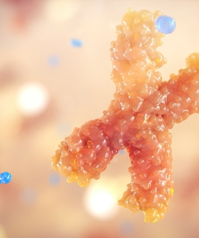 HUMAN BODY EXPLORER GAME visual data 3