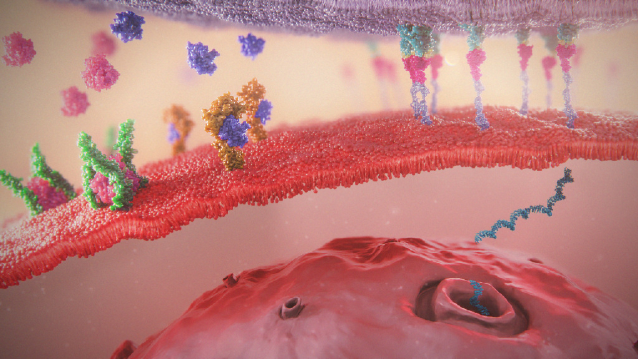 leukaemia scientific animation