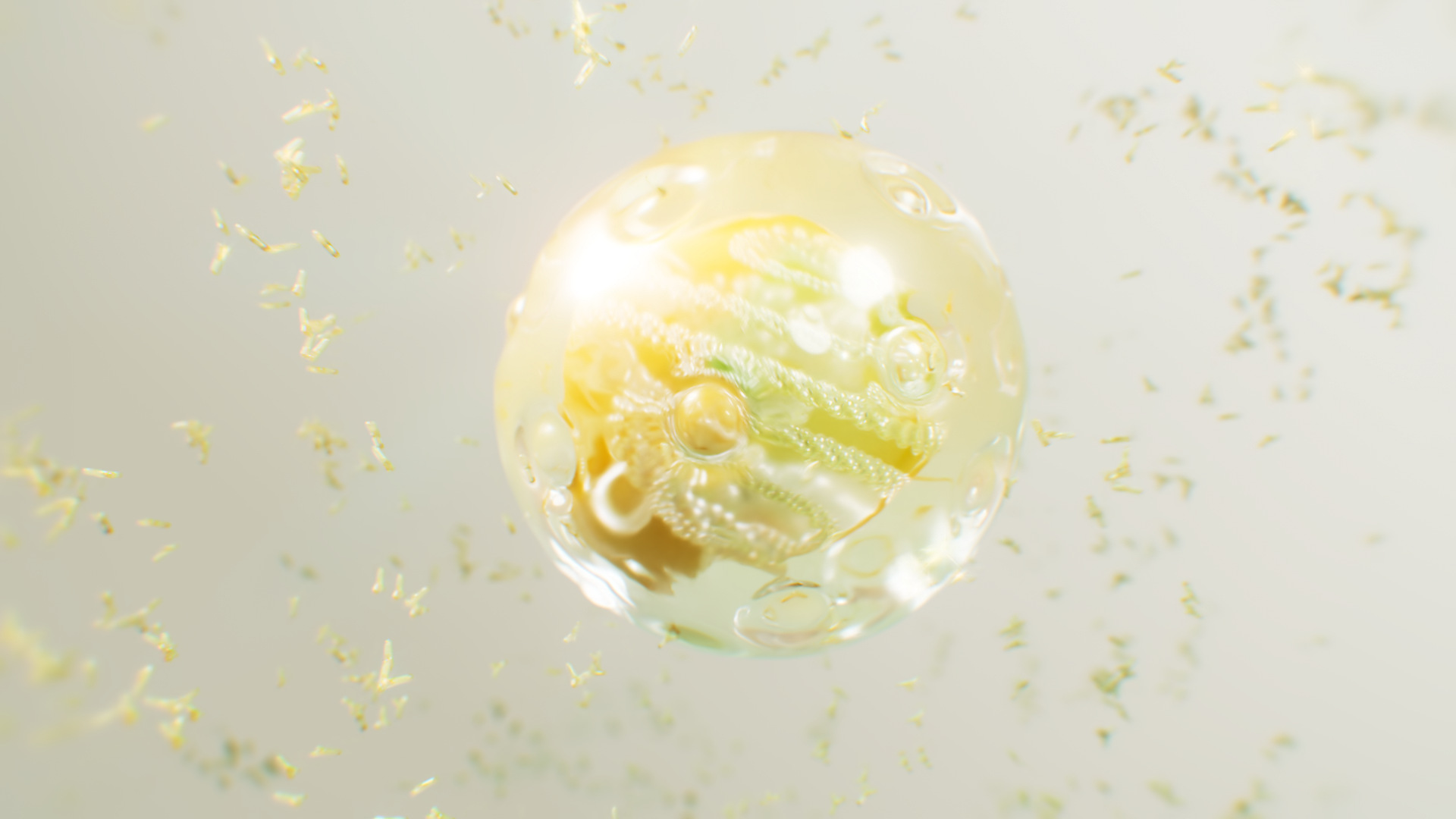 Random42 scientific animation