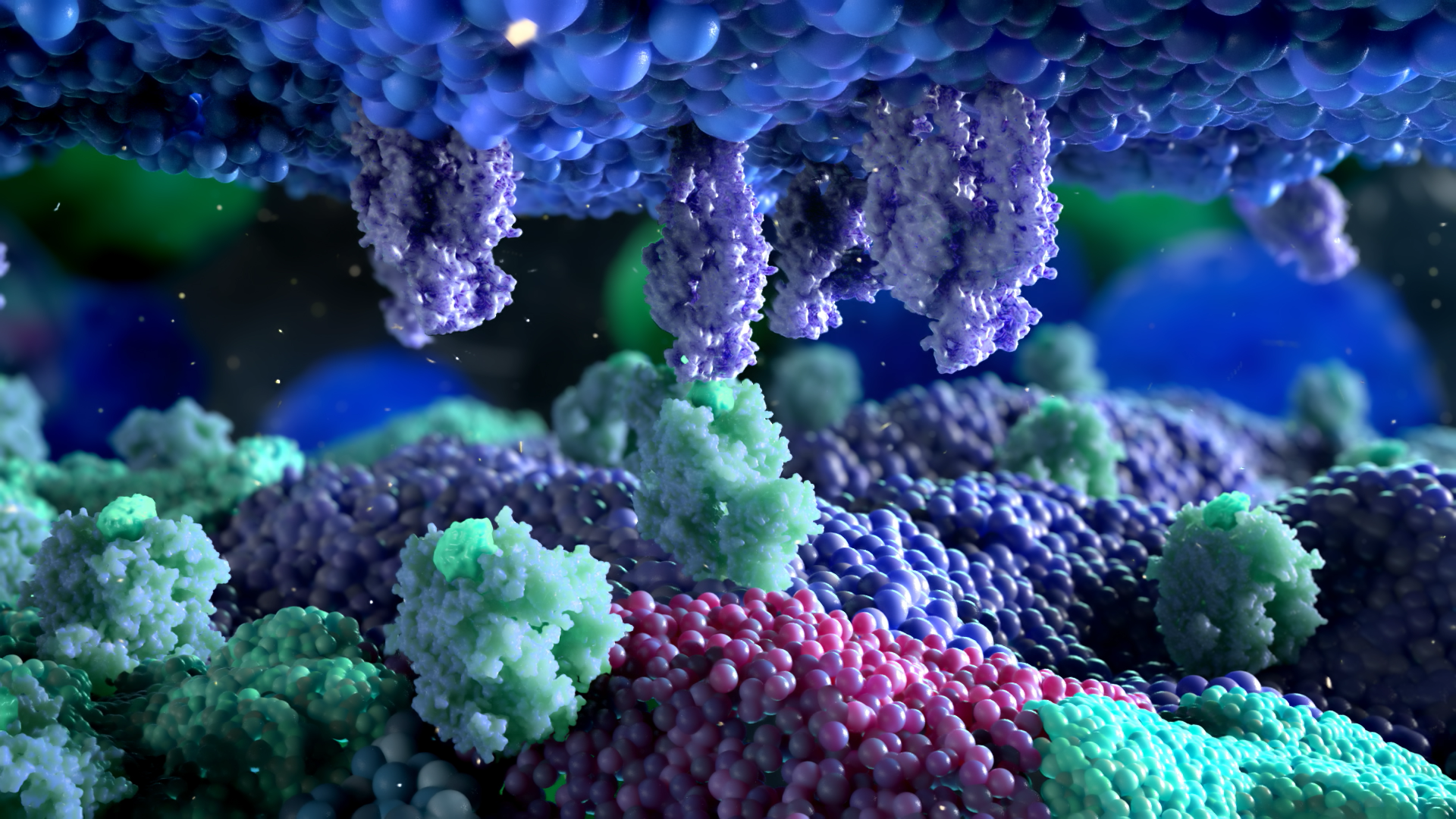immunotherapy platform animation