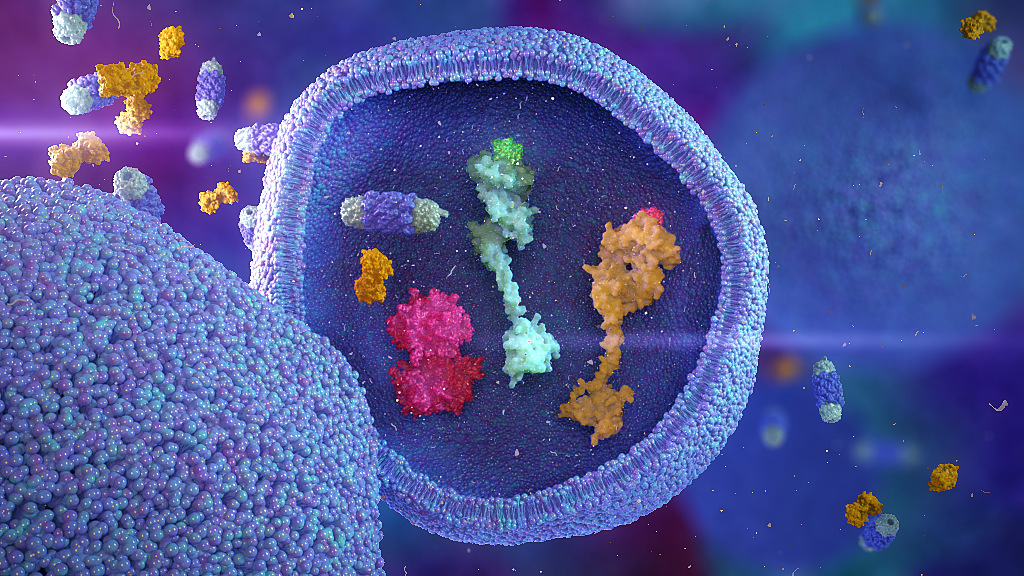 immunotherapy platform scientific video