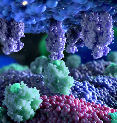 immunotherapy scientific animation