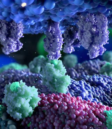 immunotherapy scientific animation