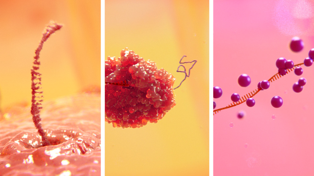 infectious virus scientific animation