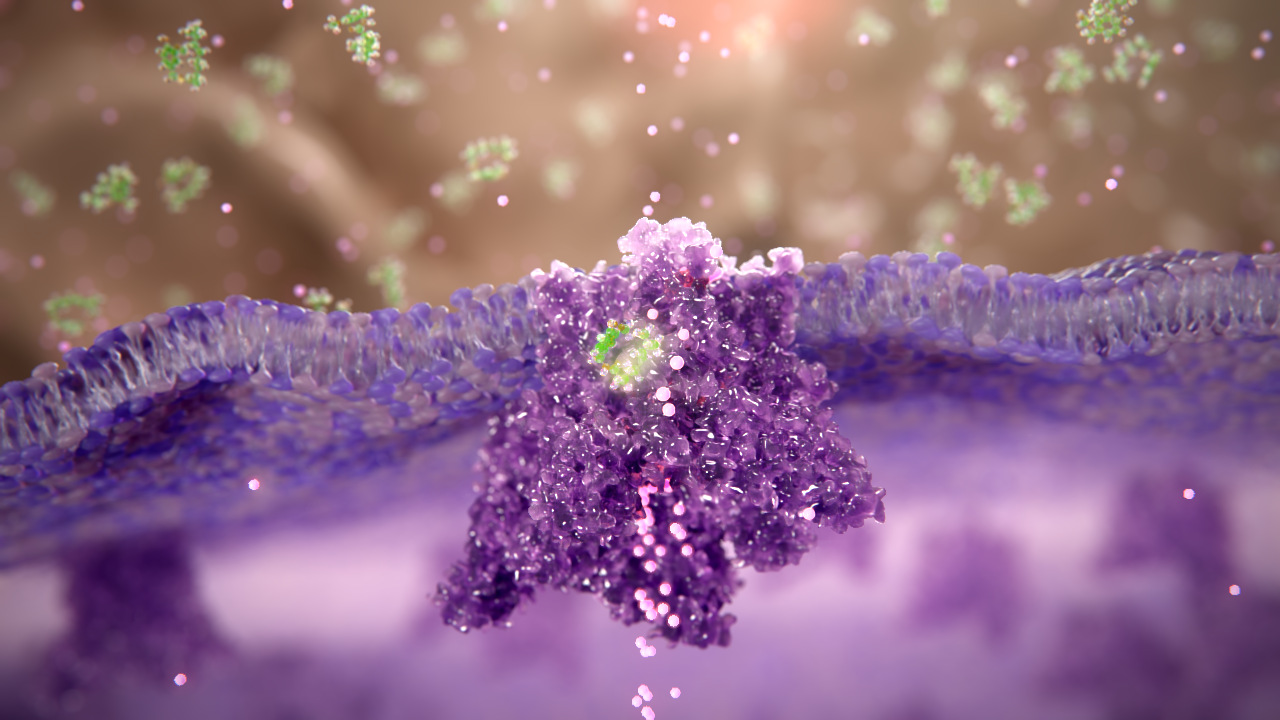 Diabetes medical Animation