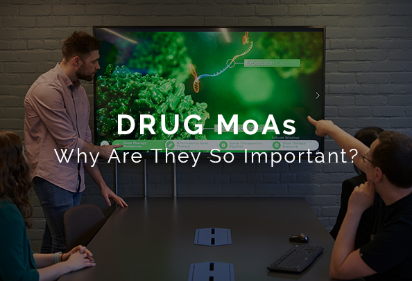 Pharmaceutical drug mechanism of action animations