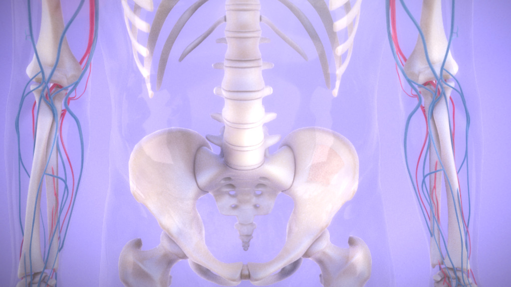 blood cancer transplant animation