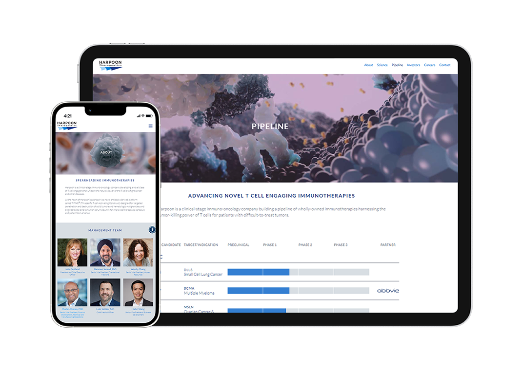 immuno-oncology medical animation