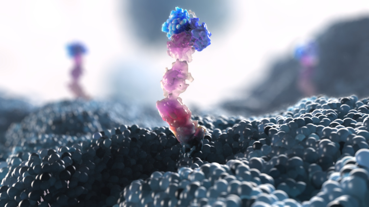 oncology drug discovery platform animation