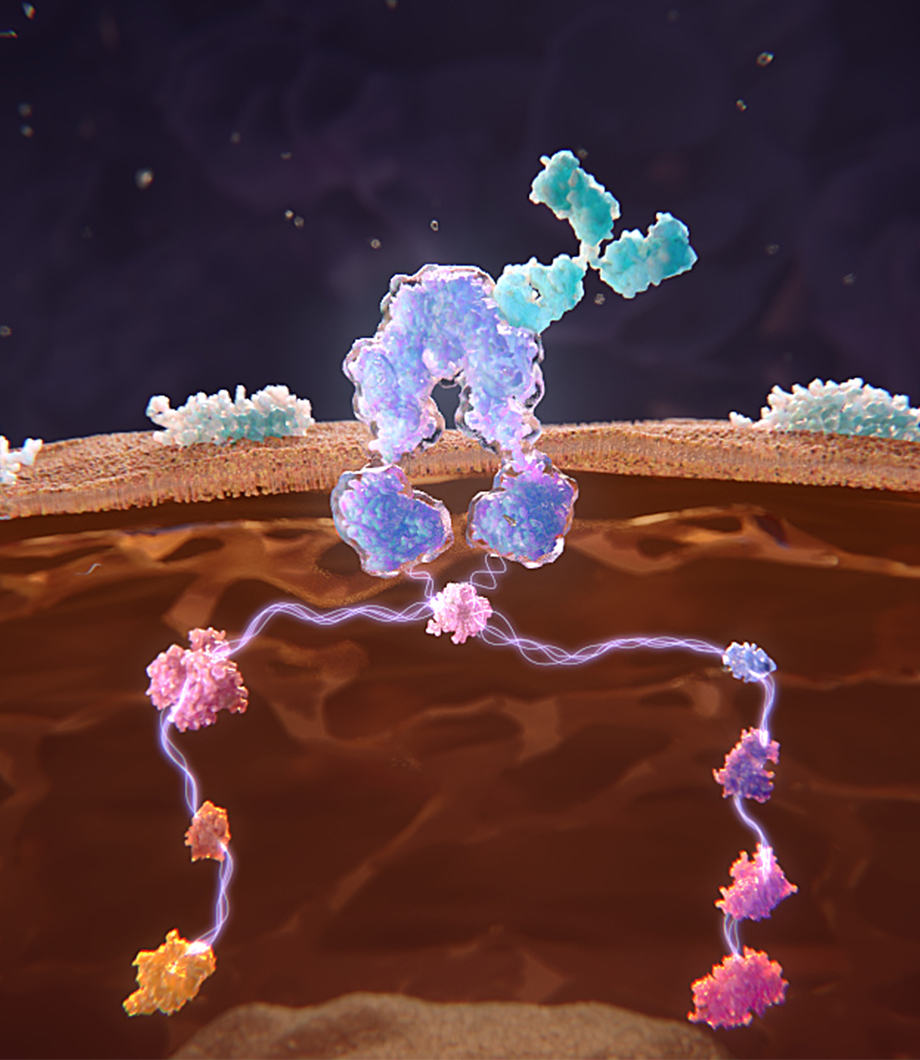 ophthalmology product animation