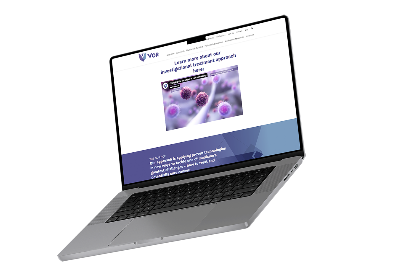 stem cell transplant oncology animation