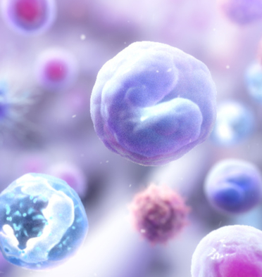 stem cell transplant scientific animation