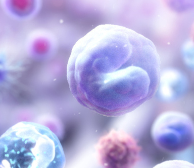 stem cell transplant scientific animation