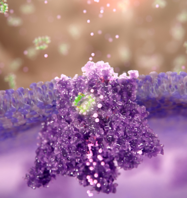 neuropathic pain scientific animation