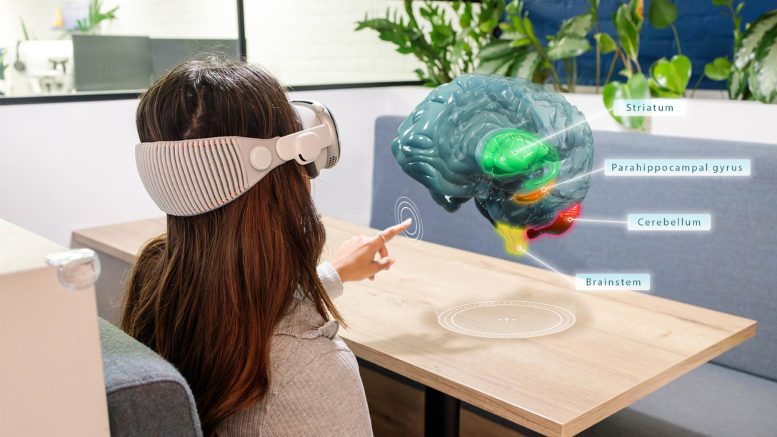 mixed reality brain neurology