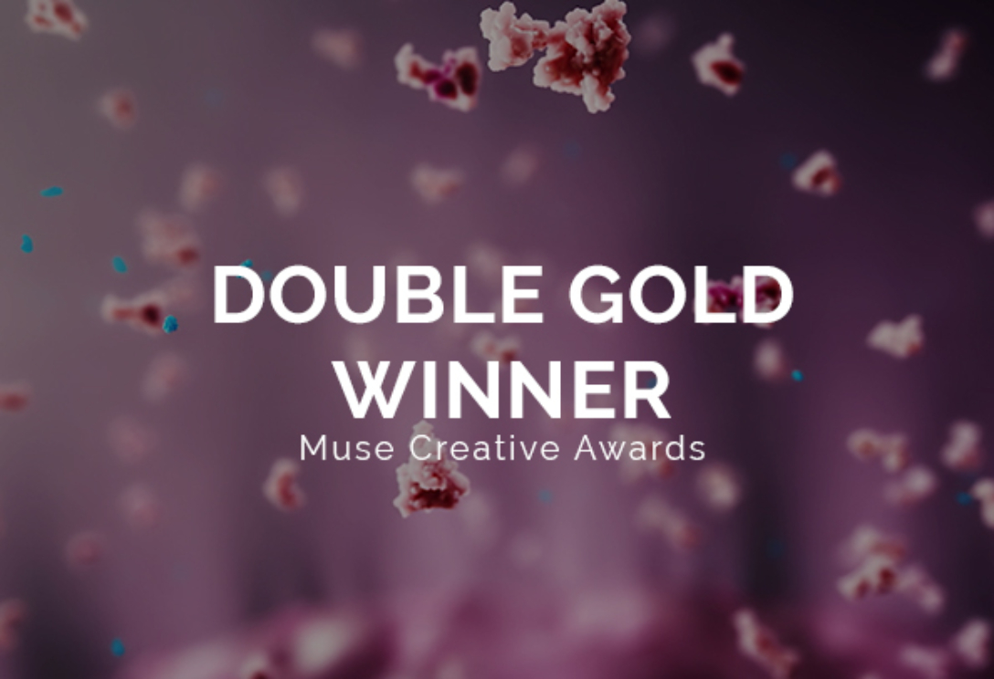 muse 2024 creative award