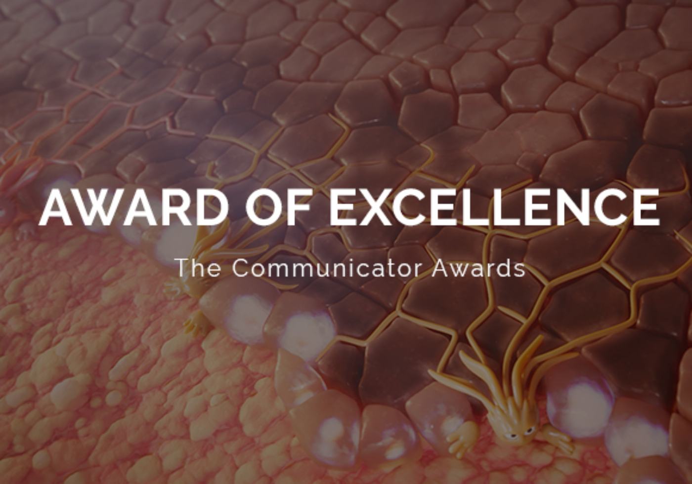 2024 communicator awards