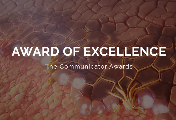 2024 communicator awards
