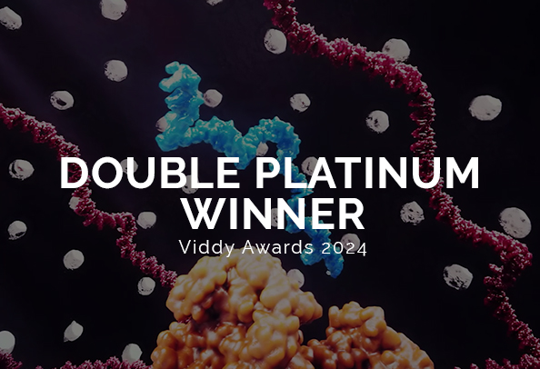 Random42 viddy awards 2024