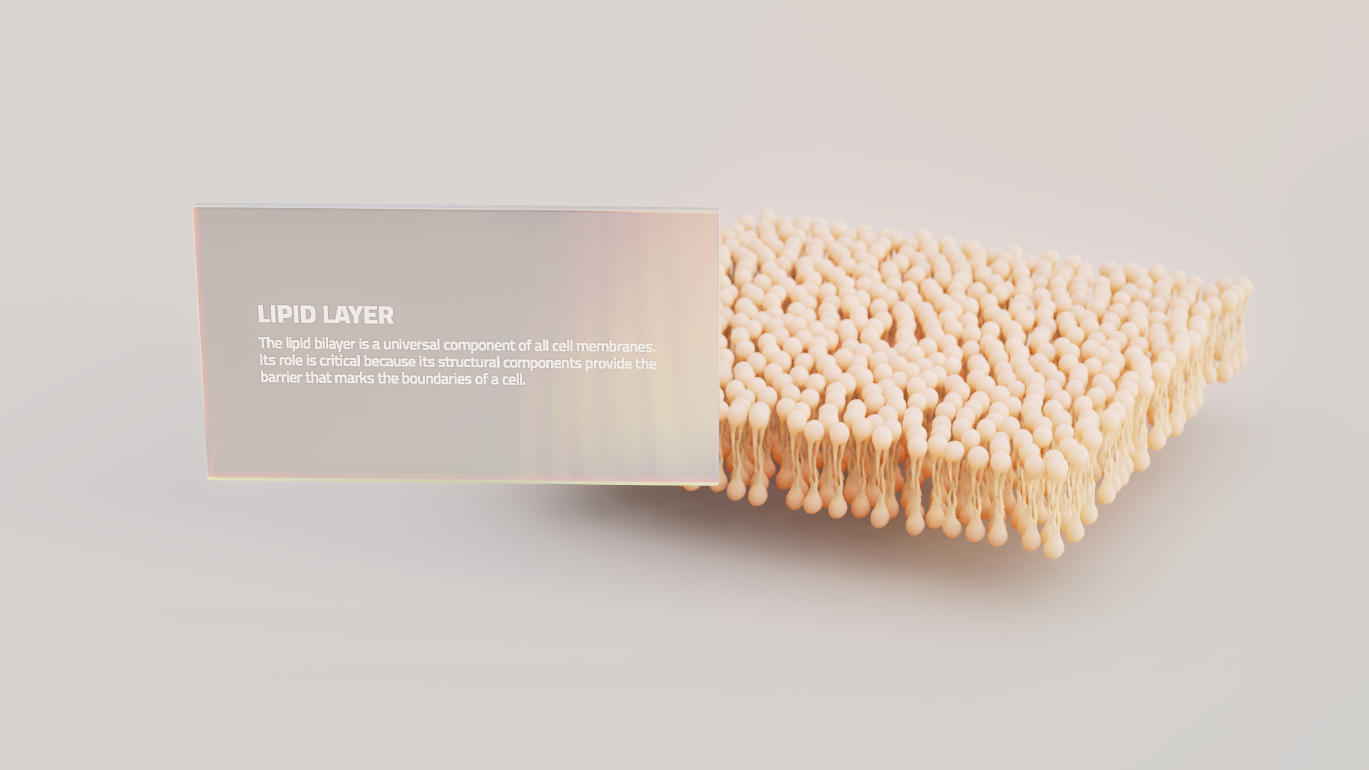 Pharma industry training