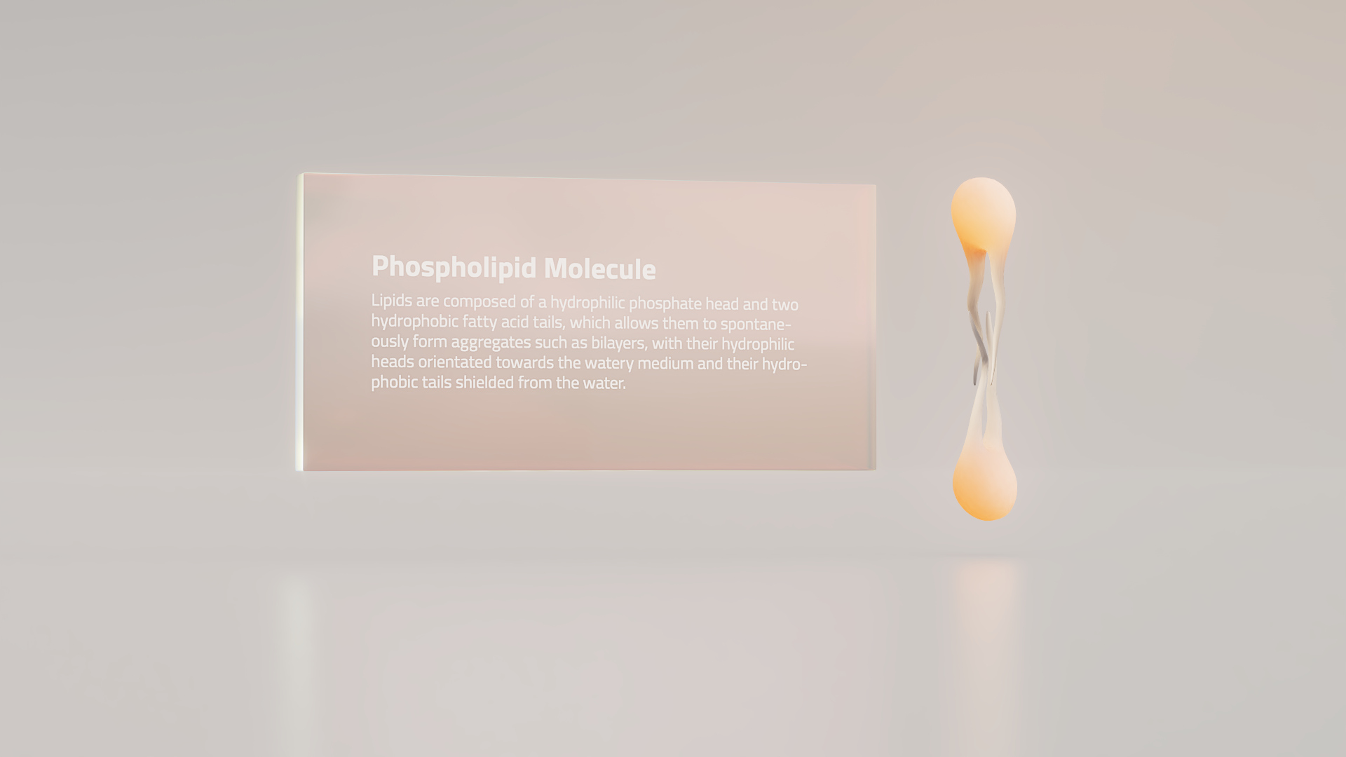 Content for learning and development