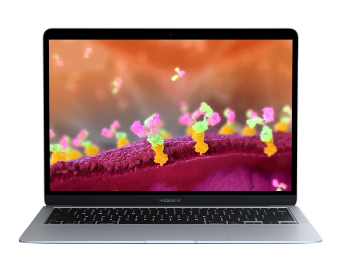 cancer treatment animation laptop