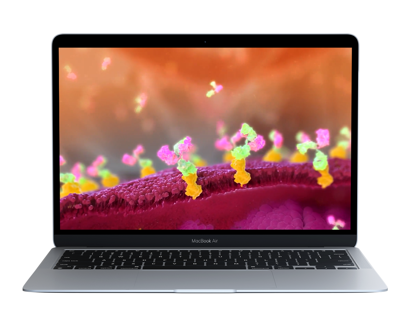 cancer treatment animation laptop