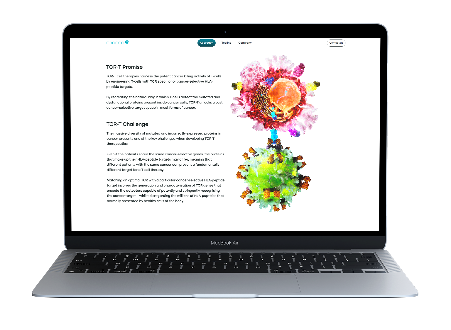 hcp educational digital content