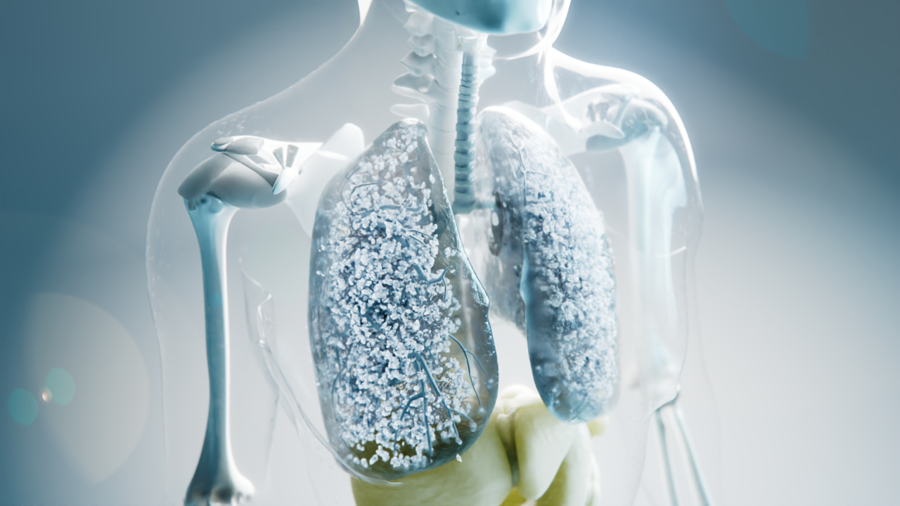 lungs scientific animation IPF