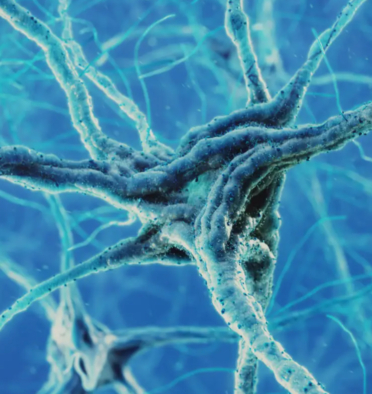 Spinal Muscular Atrophy Interactive Microsite