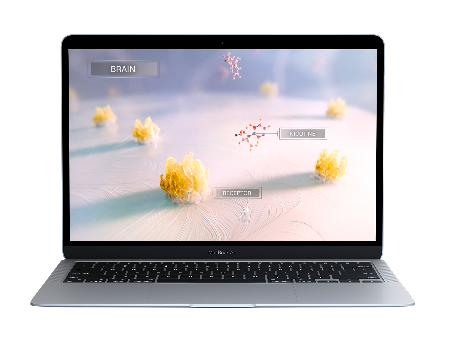 nicotine addiction medical animation