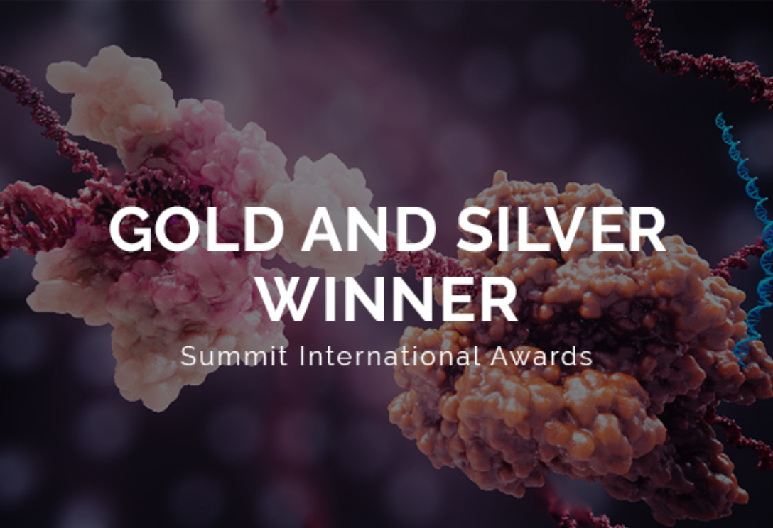 summit international awards 2024