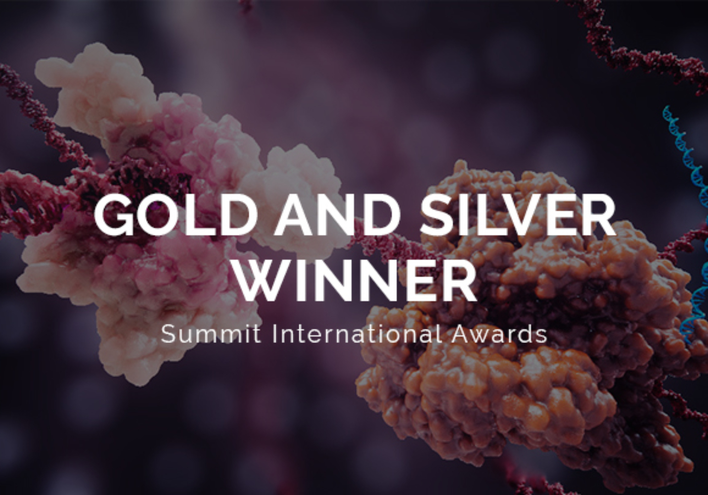 summit international awards 2024