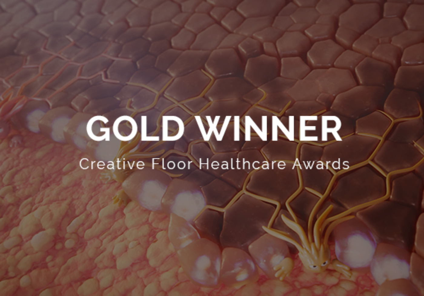 creative floor healthcare awards 2024