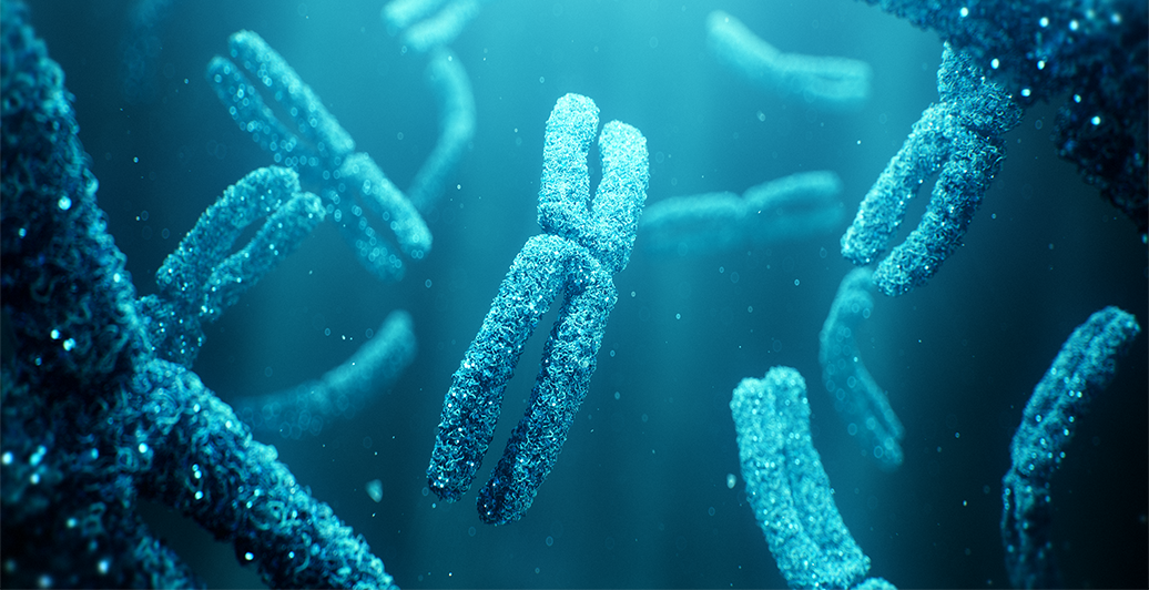 Random42 Interactive Brochure 2024