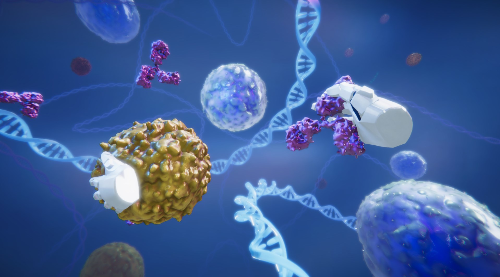 Interactive experiences