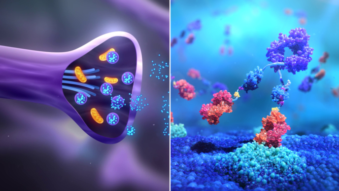 2d 3d medical animation